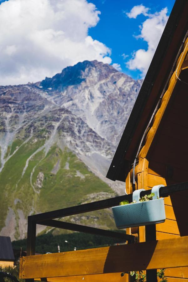 Kazbegi Folk公寓 外观 照片